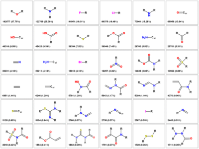 Understanding the Basics of Functional Groups in Organic Chemistry