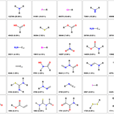 Understanding the Basics of Functional Groups in Organic Chemistry