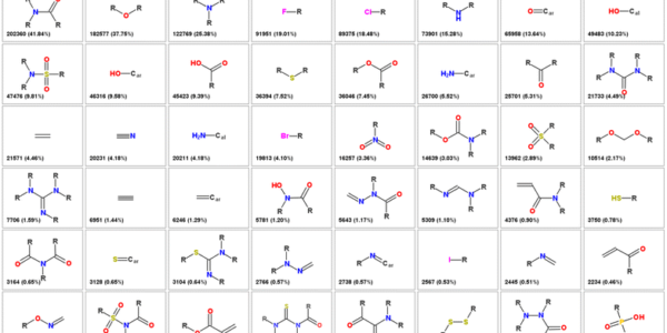 Understanding the Basics of Functional Groups in Organic Chemistry